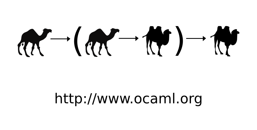 reverse application combinator type with dromedary and bactrian camels as type variables